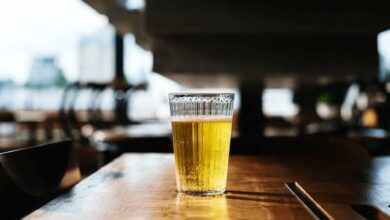 Quarta Nobre TV A Direita Brasileira Análise Divisões e o Cenário Político AtualA DIREITA E SEU DIVÃ DE BOTEQUIM